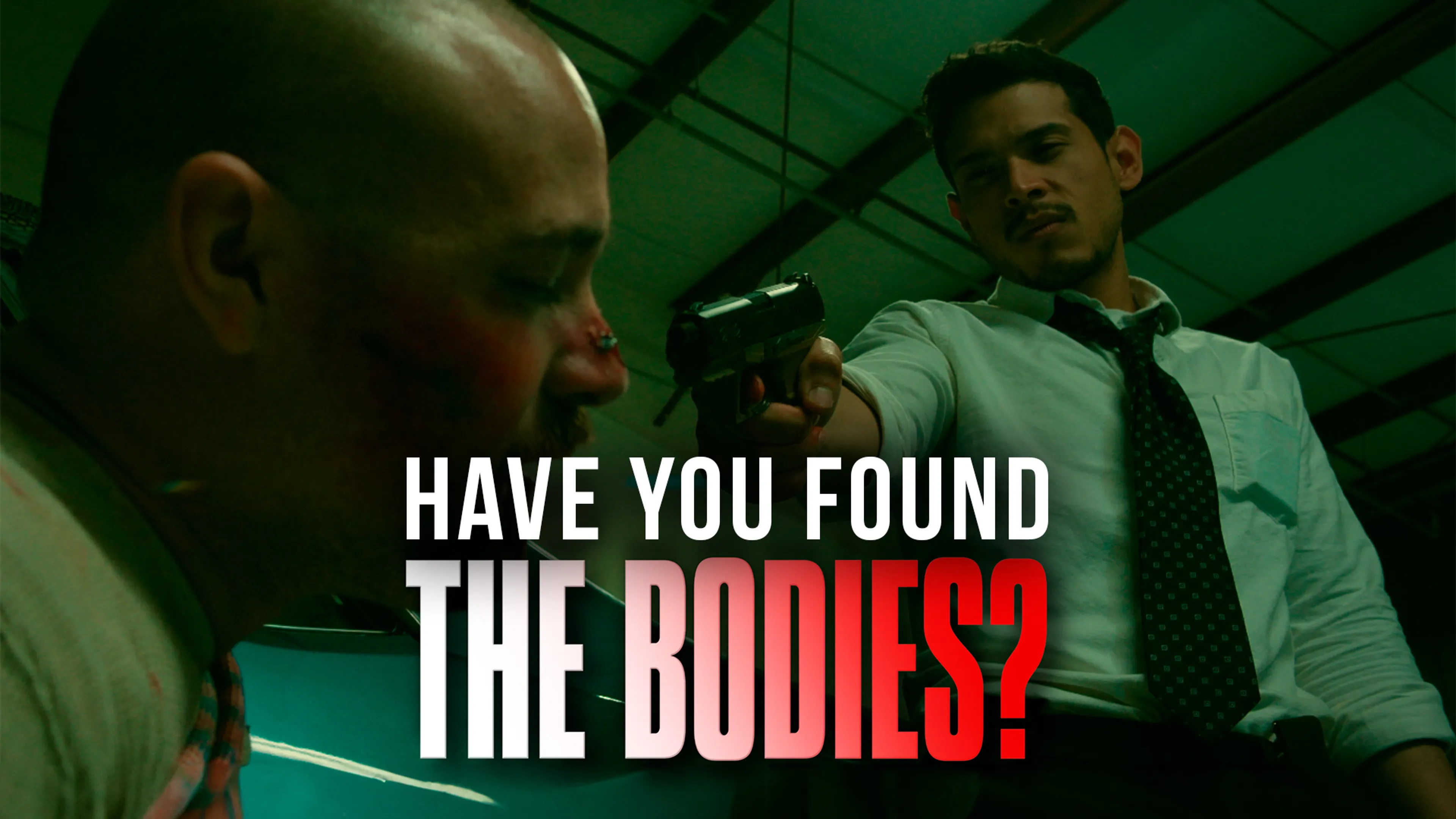 Have You Found the Bodies? poster